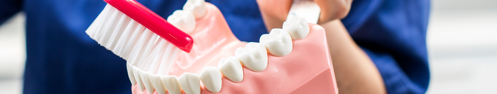 Profileringsbilde 2019